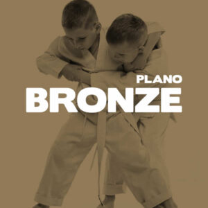 Plano Bronze - 6 meses