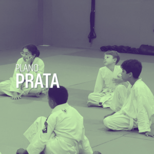 Plano Prata - 9 meses